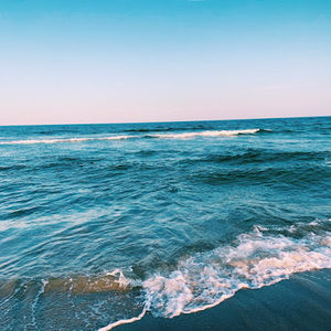 Meet your Posher, Katherine